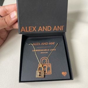 New Alex and Ani adjustable necklace